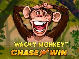 Wacky Monkey Chase n Win screenshot